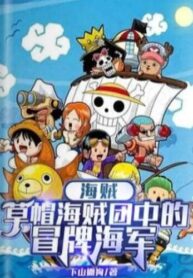 Pirates The Fake Navy of the Straw Hat Pirates (1)